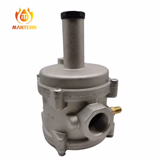 Regulador de filtro de gas natural (MTGFR01)